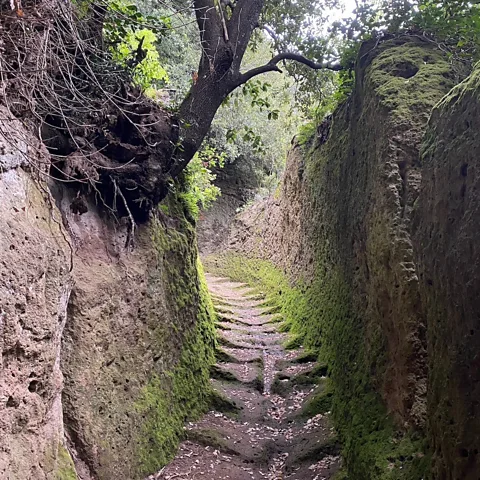 Joel Balsam Some cave roads are narrow, with finely cut stairs; others are lush jungles of moss and ferns contained by giant walls (Credit: Joel Balsam)