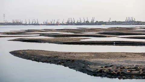 Andrei Pungovschi/AFP/Getty Images The receding Danube waters have created new sand islands on the river, making navigation much more difficult (Credit: Andrei Pungovschi/AFP/Getty Images)