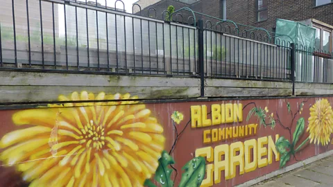 Norman Miller The Albion Community Garden is set among high-rise housing and lets residents grow their own food (Credit: Norman Miller)