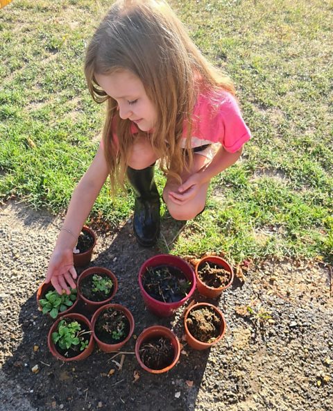 Scarlett poses in front of her plants