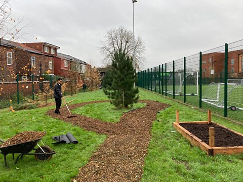 A student rakes the grass for leaves in their green area on the schools ground.