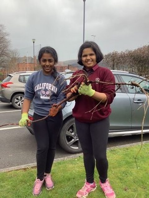 Two students stand with branches on the grass.