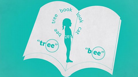 Illustration to demonstrate the importance of phonological awareness for reading. A book with the 'ee' sounds in the words 'tree' and 'bee' circled.