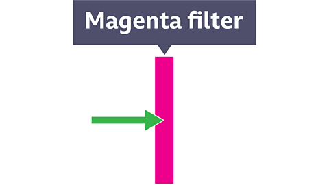 An image of a magenta filter – green light rays travelling towards filter. The green light ray is absorbed and doesn't pass through the filter.