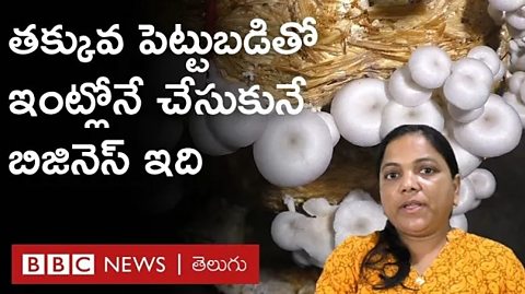 Mushroom Farming: ‘తక్కువ పెట్టుబడితో ఇంట్లోనే చేసుకునే బిజినెస్ ఇది