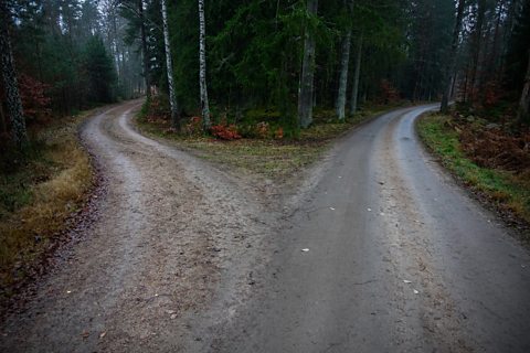 A narrow gravel road in a forest that divides into two paths