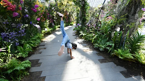 Getty Images A girl plays in a conservatory in Singapore. Natural light and outdoor play can benefit children's eye health and general wellbeing (Credit: Getty Images)