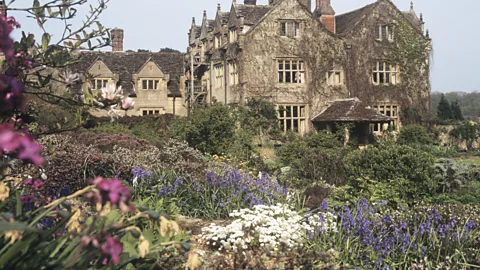 Alamy The rise of Japanese knotweed coincided with the wild garden movement – a Victorian preference for informal, naturalistic landscapes with messy clumps of plants (Credit: Alamy)