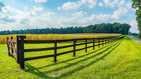 A field foreground, with a farmer's fence at an angle which stretches from left to right into the distance.