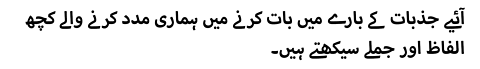 آئیے جذبات کے بارے میں بات کرنے میں ہماری مدد کرنے والے کچھ الفاظ اور جملے سیکھتے ہیں