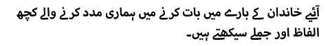 آئیے خاندان کے بارے میں بات کرنے میں ہماری مدد کرنے والے کچھ الفاظ اور جملے سیکھتے ہیں۔