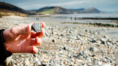 How to have a family seaside adventure