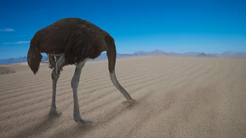 Getty Images The 'ostrich effect' coping mechanism is hiding your head in the sand, shifting attention away from the upsetting situation so you don’t have to process it (Credit: Getty Images)