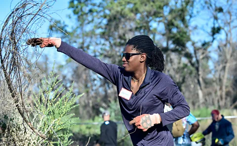 Operation 2021/Alamy People are working rebuild and preserve Paradise, including by removing the dense brush which helps fires spread (Credit: Operation 2021/Alamy)