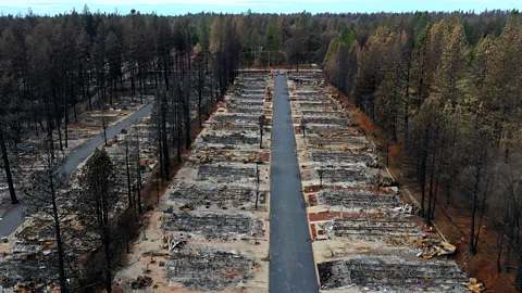 Could a buffer shield Californian homes from wildfire?