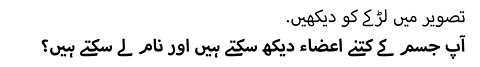 تصویر میں لڑکے کو دیکھیں. آپ جسم کے کتنے اعضاء دیکھ سکتے ہیں اور نام لے سکتے ہیں؟