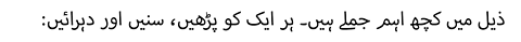 :ذیل میں کچھ اہم جملے ہیں۔ ہر ایک کو پڑھیں، سنیں اور دہرائیں