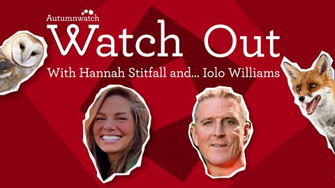 BBC Two - Autumnwatch - Available now