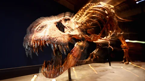 Frightful' never-before-seen tyrannosaur might be the 'missing