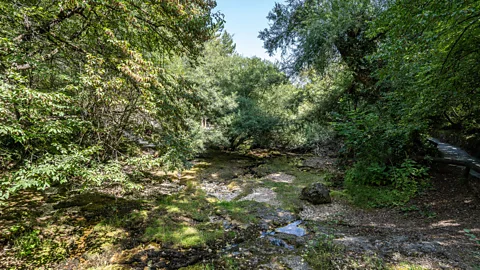 Richard Collett The Vevčani springs lie at the heart of the village's unique customs and celebrations (Credit: Richard Collett)