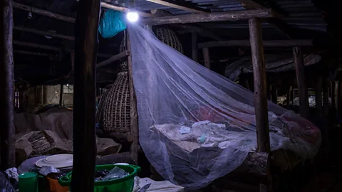 Getty Images Effective Altruism suggests that, for example, donating malarial bednets in the developing world saves more lives than many causes in wealthy nations (Credit: Getty Images)