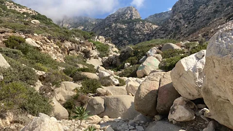 Luke Waterson Even today, it is hard to move from Ikaria's coast up to its craggy interior (Credit: Luke Waterson)