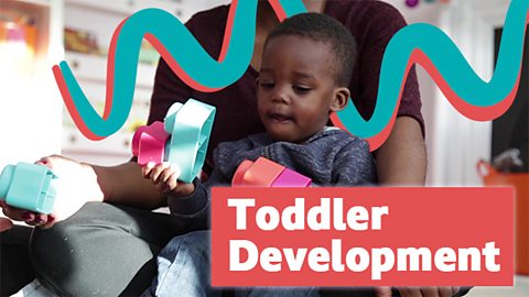 Information on toddler development