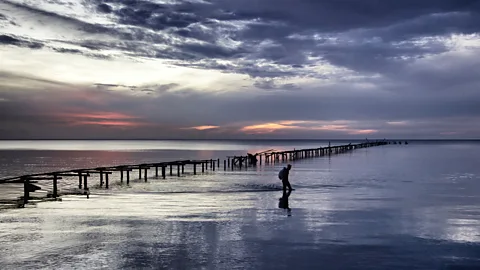 Martin Llado/Getty Images Isla de la Juventud: Cuba's remote nature paradise (Credit: Martin Llado/Getty Images)