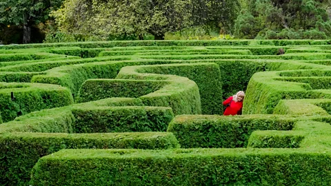 Skills maze hi-res stock photography and images - Alamy