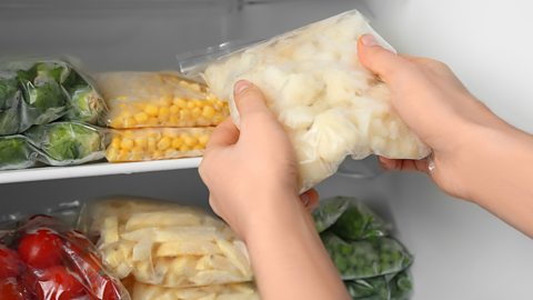 Potatoes being placed in the freezer inside a freezer bag Potatoes being placed in the freezer inside a freezer bag
