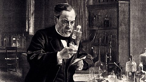 A black and white illustration showing Louis Pasteur holding a glass flask in his laboratory