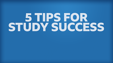 5 tips for study success