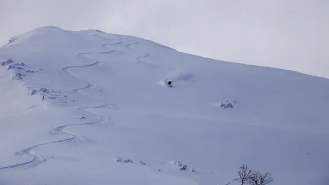 Francesco Bassetti According to local guide Toshiya Watanabe, Rishiri has some of the best powder in the world (Credit: Francesco Bassetti)