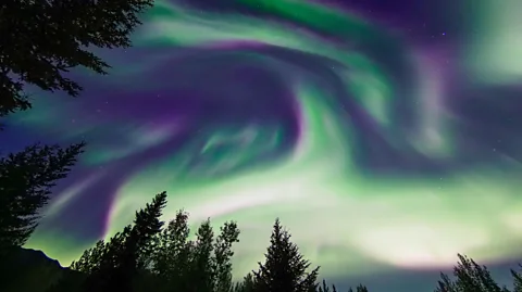Revealed: The Secret Techniques You Need To See (And Survive) The Northern  Lights
