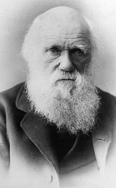 A black and white portrait of Darwin with a long white beard and a black coat. 