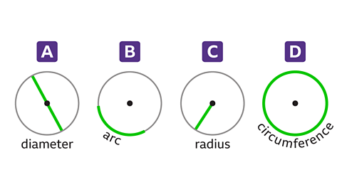 The same image as the previous. Written below circle A: diameter. Written below circle B: arc. Written below circle C: radius. Written below circle D: circumference.