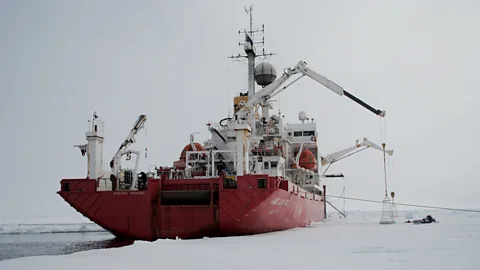 Richard Hollingham Expeditions on ships such as the James Clark Ross, seen here in 2010, have delved under the Arctic ice to find life (Credit: Richard Hollingham)