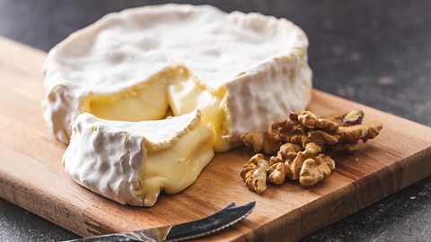 Types of cheese A soft brie