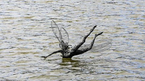 Sculpture of a human figure with insect wings on top of the surface of water