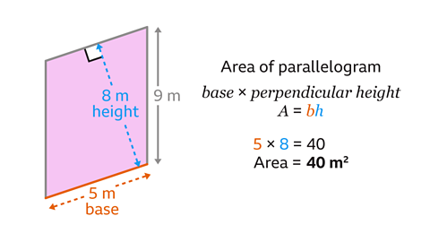 The same image as the previous. The side with length five metres has been highlighted and labelled as the base. The dashed diagonal line, of length eight metres, has been highlighted and labelled as the height. Written right: Area of parallelogram. Written below: base multiplied by perpendicular height. Written beneath: the formula, A equals b h. Written below: five multiplied by eight equals forty. Written beneath: Area equals forty metres squared. The b, the five, and the arrows and labels for the base are coloured orange. The h, the eight, and the arrows and labels for the height are coloured blue. The length of the vertical side, nine metres, has been coloured grey.