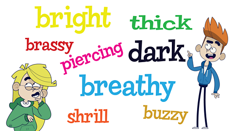 Words you may use to describe timbre are bright, thick, brassy, piercing, dark, breathy, shrill and buzzy.