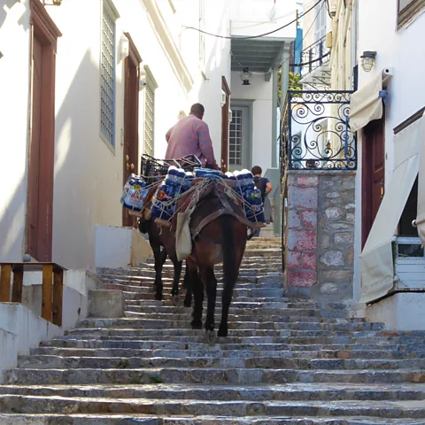 Molly Dailide Donkeys are the only method for transporting goods up town's steep hills and alleys (Credit: Molly Dailide)