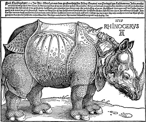 Dürer's 1515 print of a rhino, a black-and-white rendering of the animal printed from a description