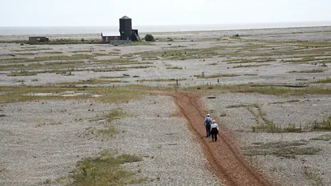 Geography Photos/Getty Images The National Trust allows the public limited access to the site, which has huge biological importance (Credit: Geography Photos/Getty Images)