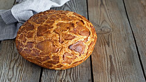 A tiger loaf with golden brown crust.