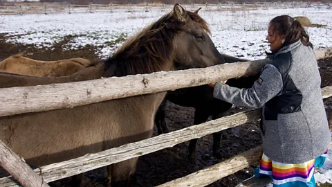 Karen Gardiner Maggie Downer sees spirit horses as "four-legged ambassadors" of Canada's Indigenous people (Credit: Karen Gardiner)
