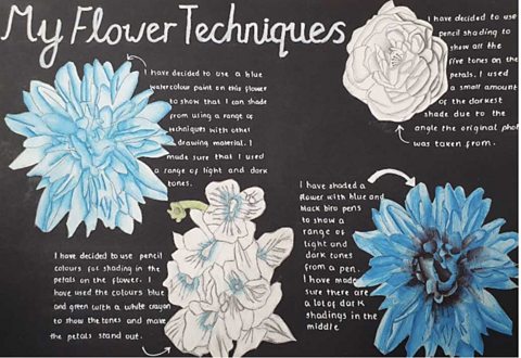 Annotated drawings of flowers