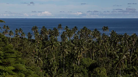 Ben McKechnie The tagimoucia only grows on one of Fiji's 330 islands, Taveuni (Credit: Ben McKechnie)