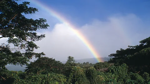Horizon Internal Images/Alamy Locals say it always rains along the trail to see the tagimoucia (Credit: Horizon Internal Images/Alamy)
