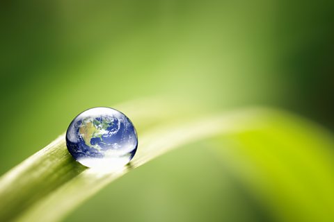 A drop of water on a leaf.